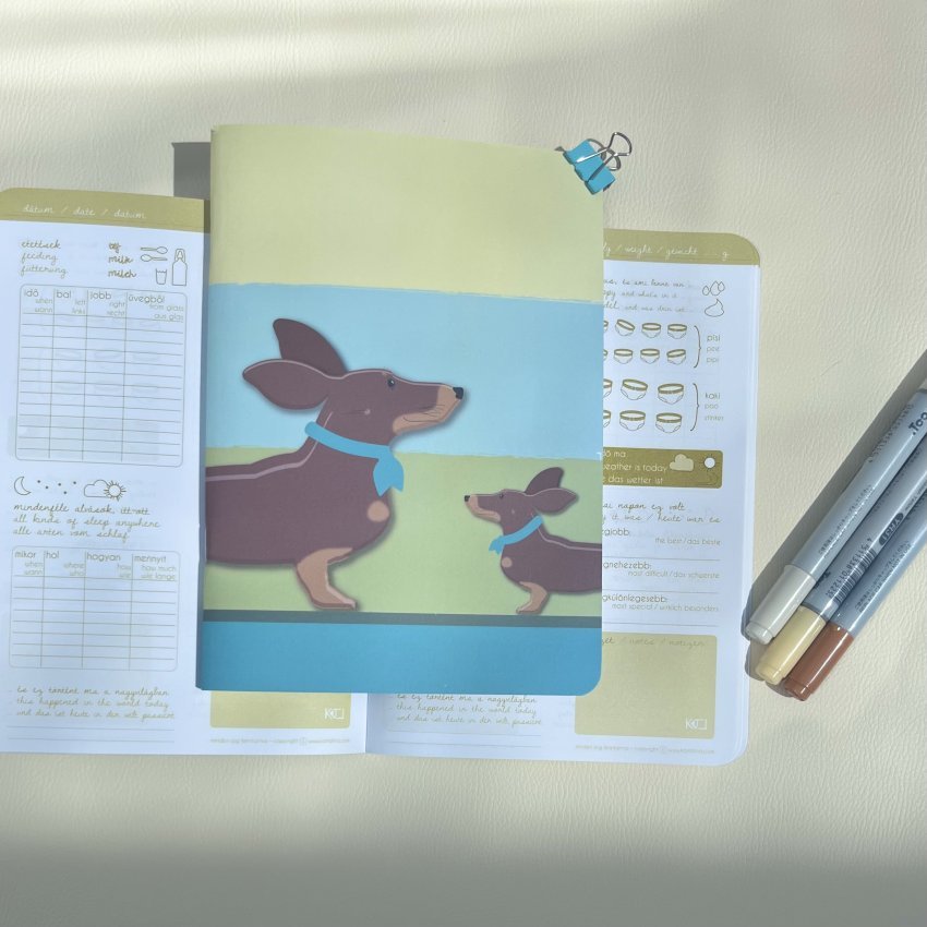 tacsi teso babanaplo karlalina zold 2025